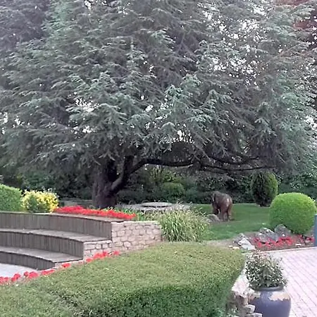 B&B Le Manoir De La Mantille 코드리