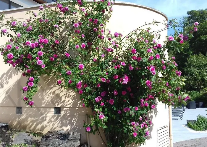 Le Manoir De La Mantille Отель типа 